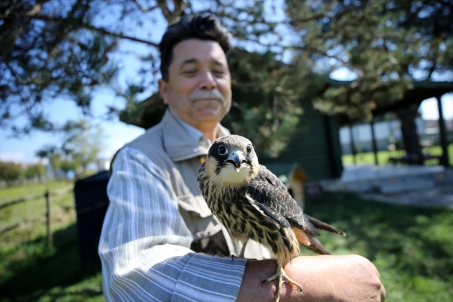 Delice doğanı Şakir ile sağlık teknisyeni Ayhan'ın dostluğu